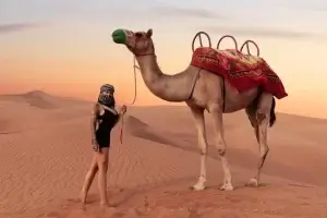 Camel Safari Dubai